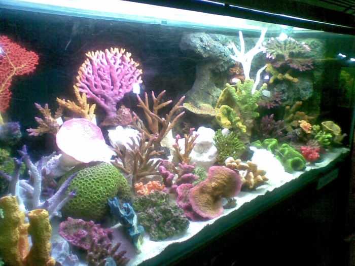 Artificial Corals